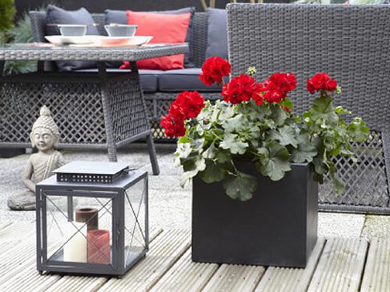 Tuintrend: Rood met zwart combineren | Beurs Eigen Huis