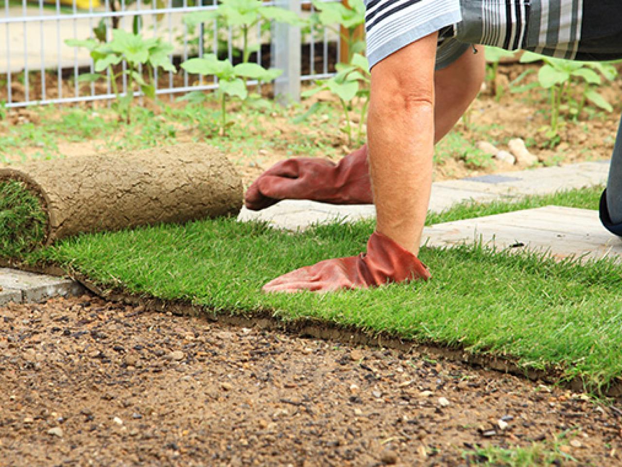 blog - gras is groener bij de buren