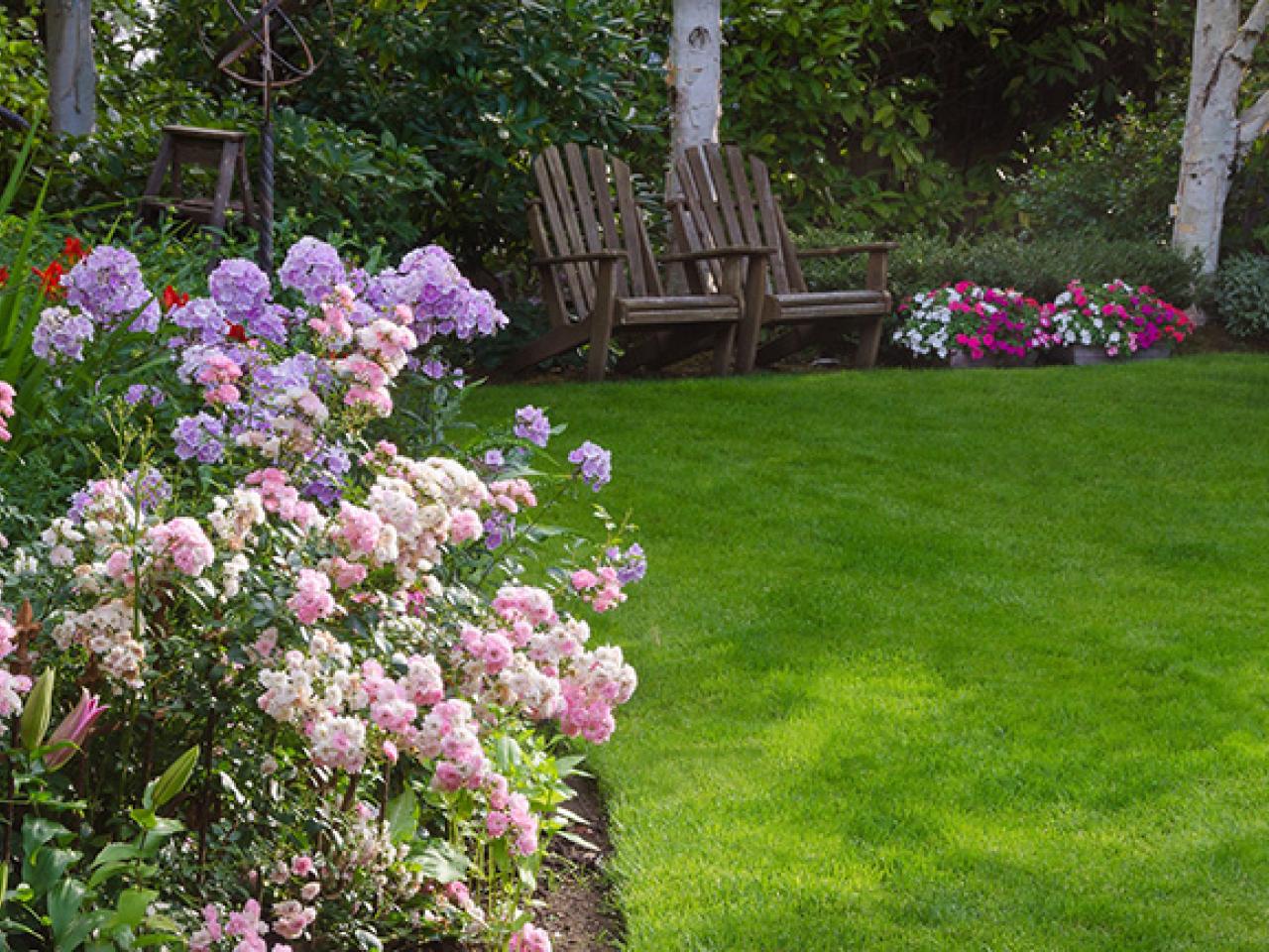 Blog - Met deze tips is het gras nooit meer groener bij de buren