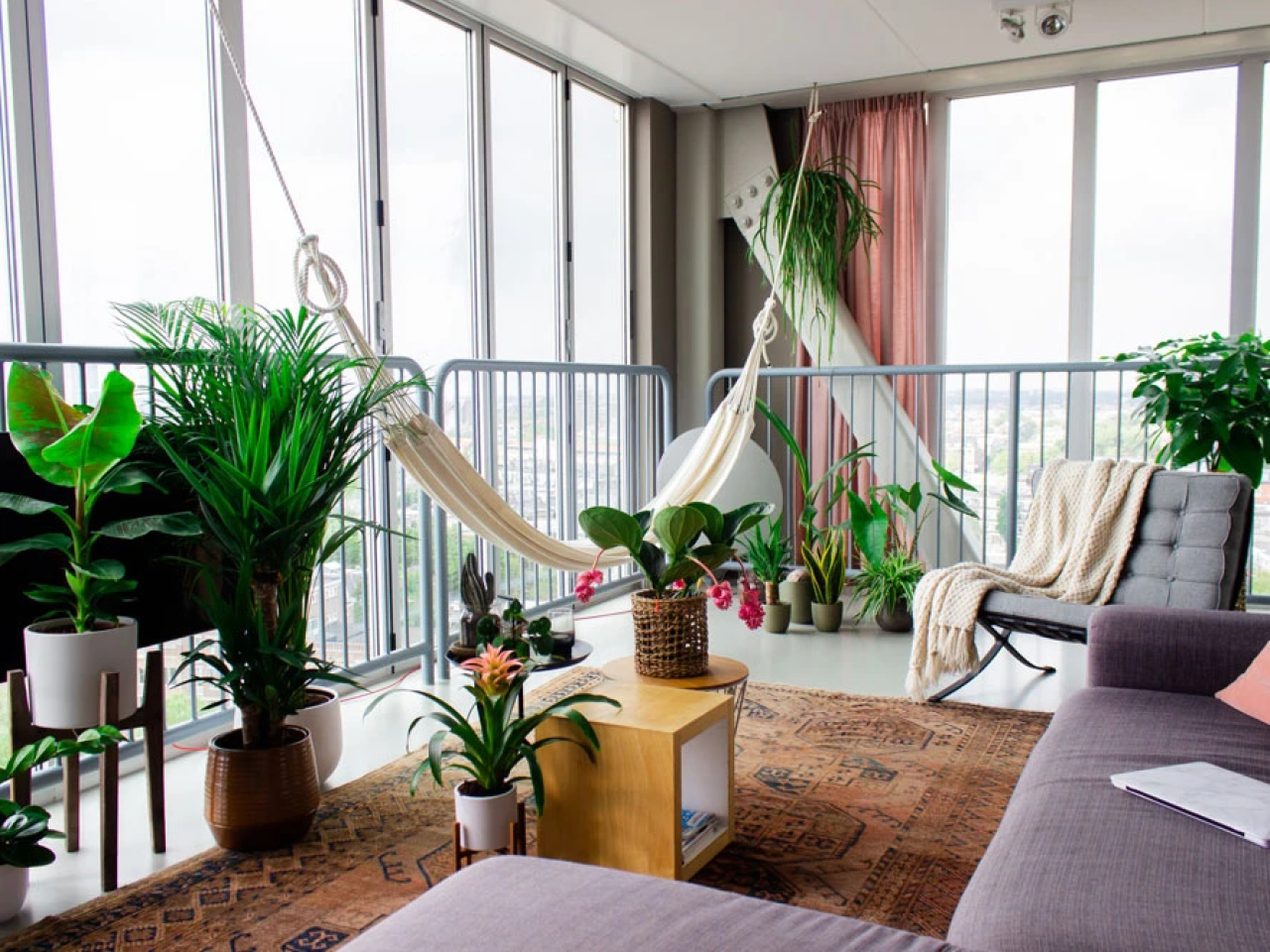 Planten in huis kamerplant REALISEER JE DROOMHUIS