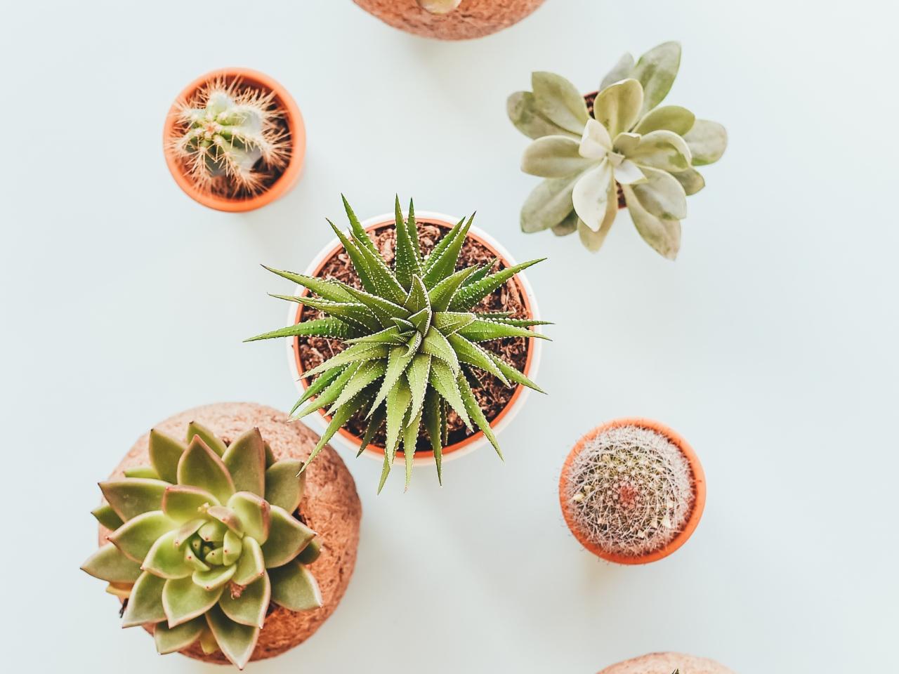 Onderhoudsvrij wonen DROOMHUIS