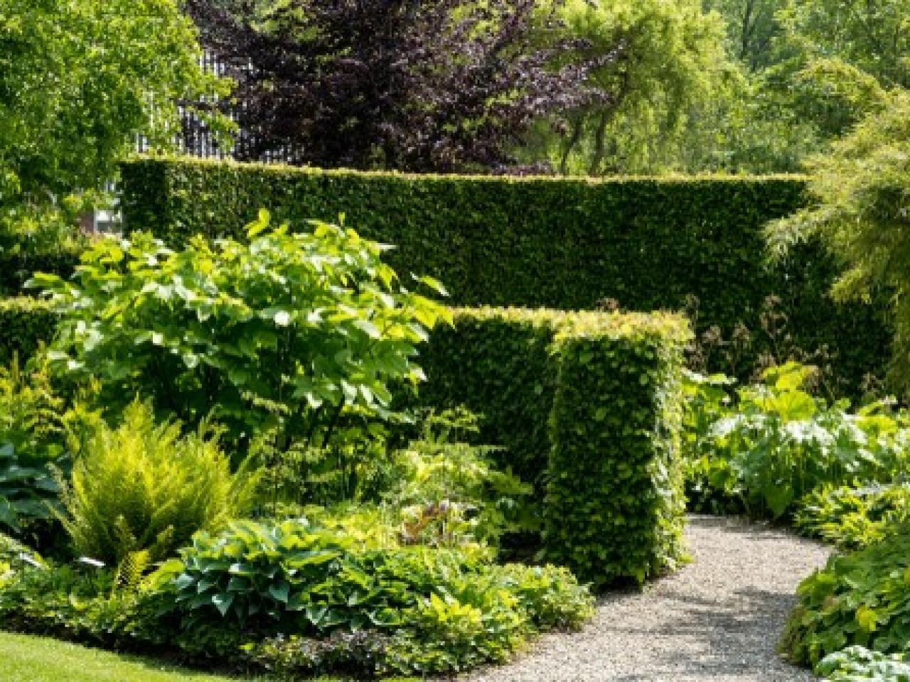 Haag droomtuin inspiratie Realiseer je droomtuin