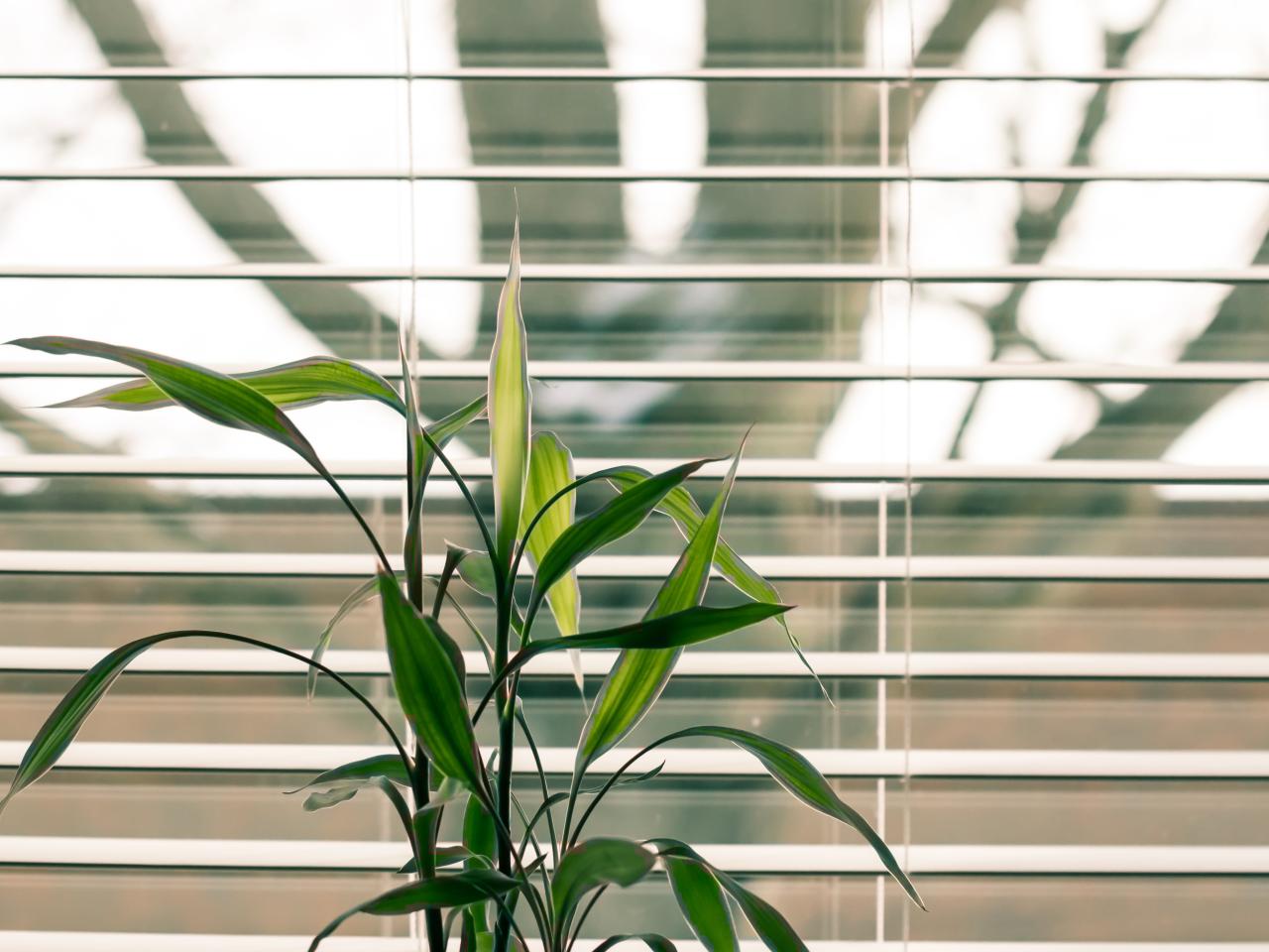 Interieur trends styling Realiseer je droomhuis
