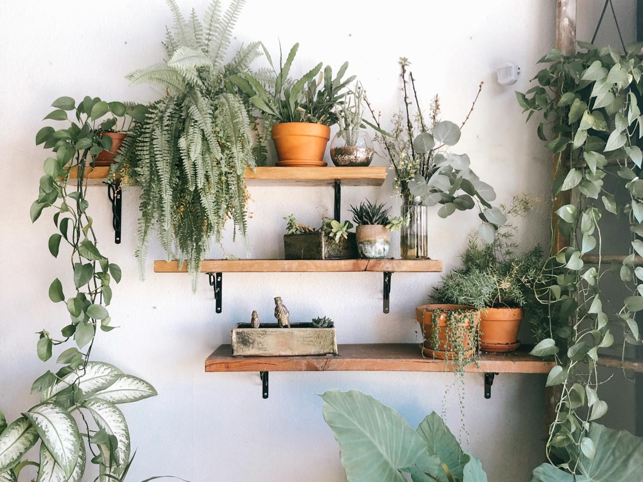 Planten interieur trend REALISEER JE DROOMHUIS