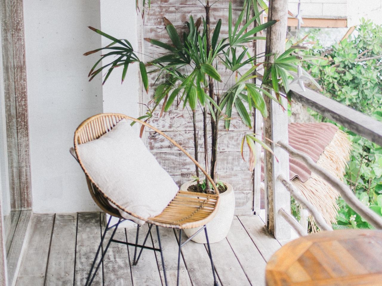 Tropische tuin tips REALISEER JE DROOMTUIN