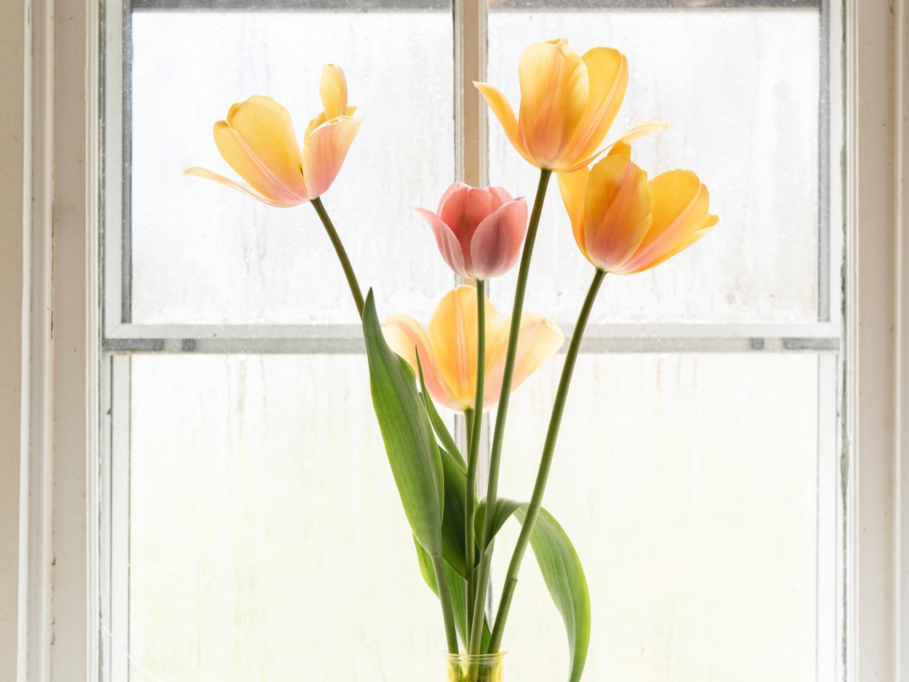 tulpen lente realiseer je droomhuis