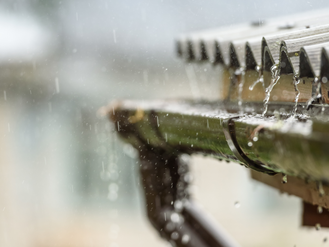 BLOG DB Online Marketing VJ26 - Regenwater infiltreren in de tuin