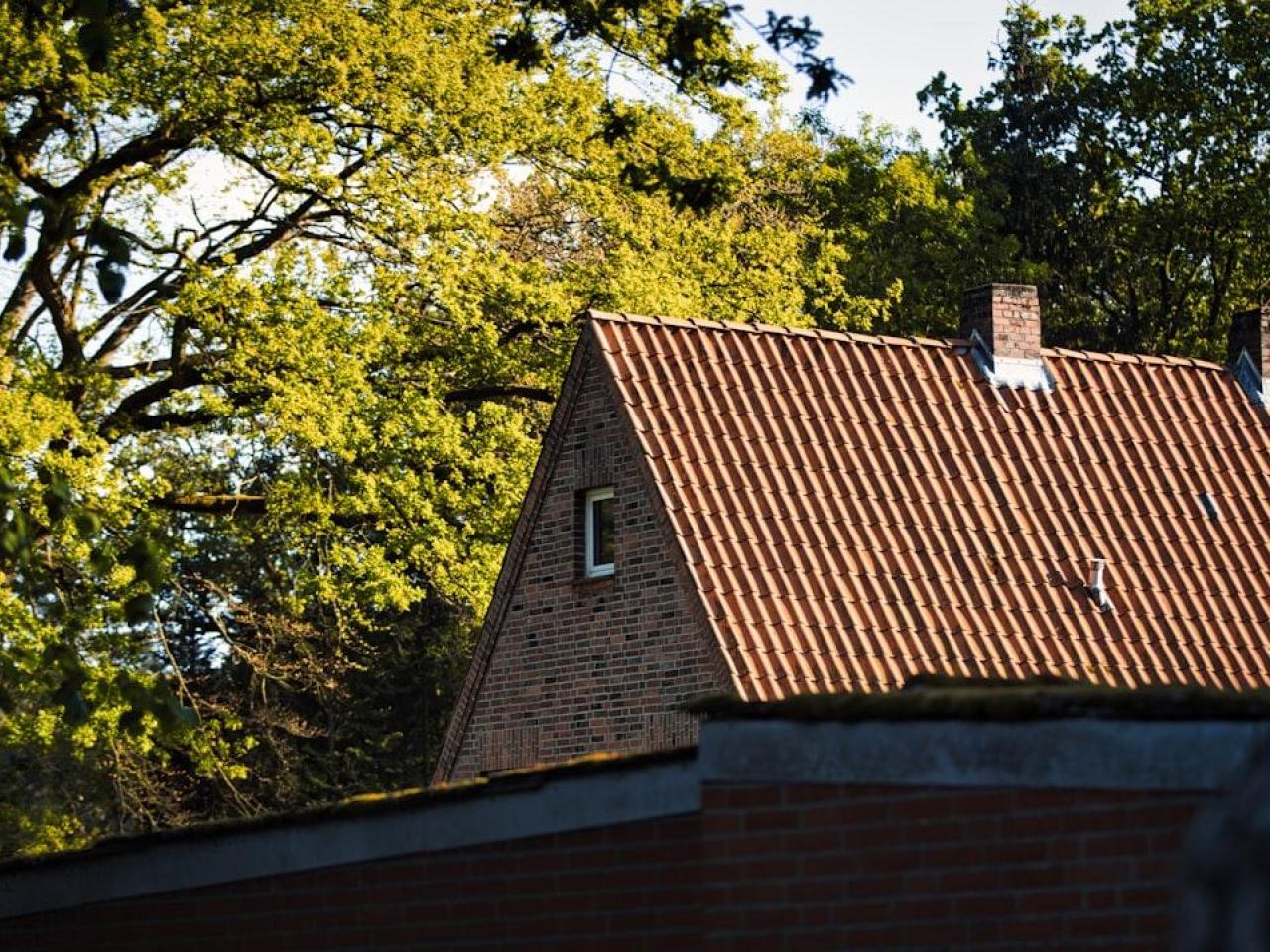 BLOG Whitepress VJ26 - Dakisolatie