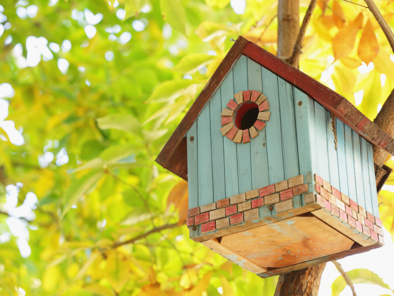 BLOG Twenty Four Webvertising NJ26 - Vogelhuisje voor jouw tuin