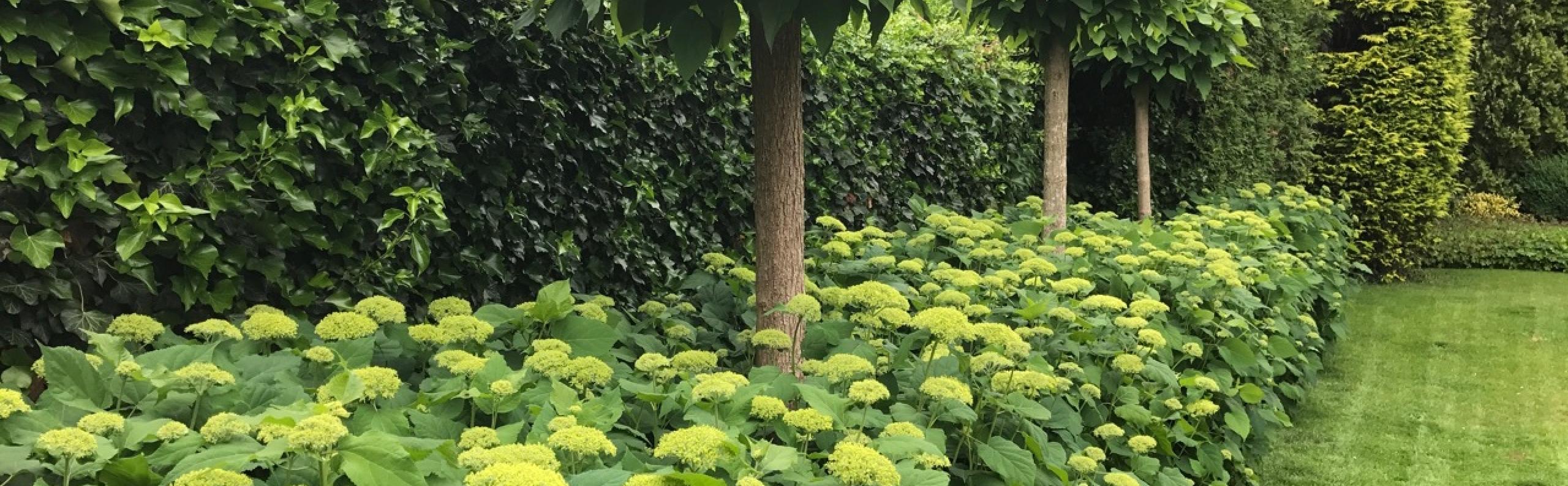 Beurs Eigen Huis Haagplanten.net haagplanten tuin