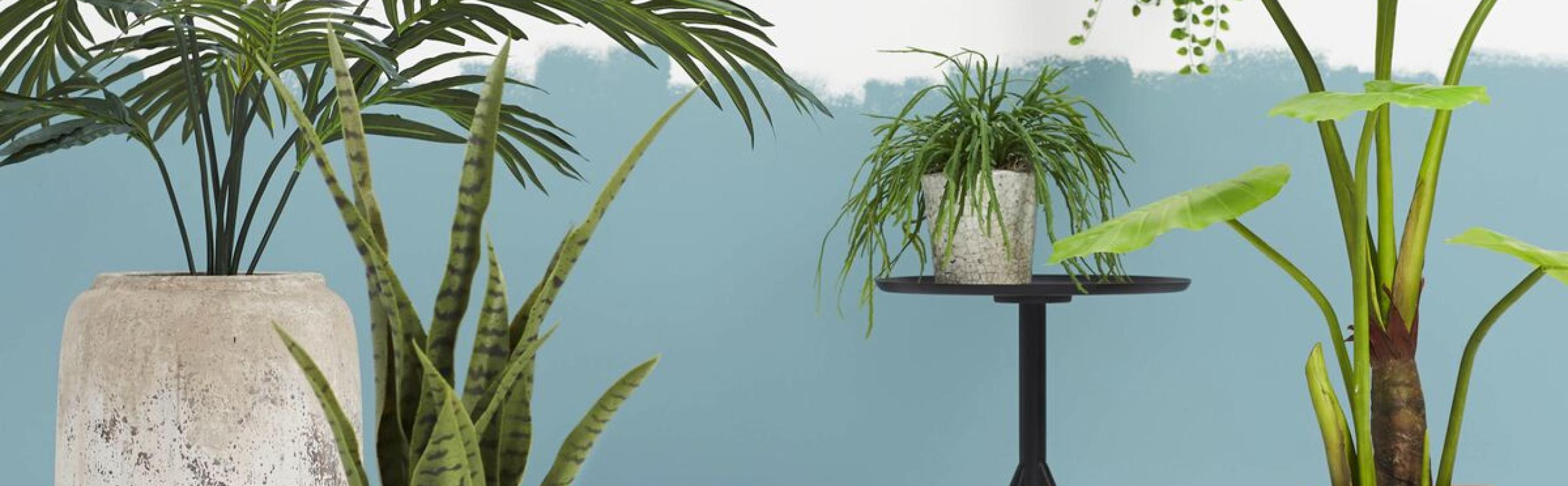 Beurs Eigen huis Jaarbeurs Utrecht blogs inspiratie tips bouwen verbouwen