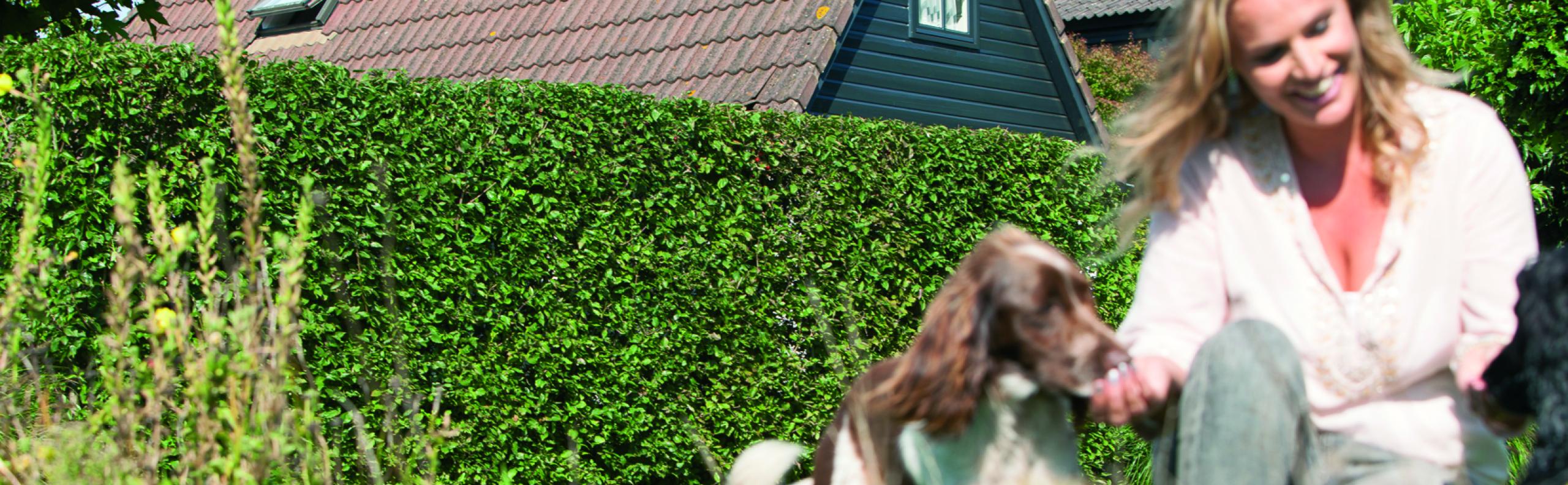 Beurs Eigen Huis -  Quickhedge