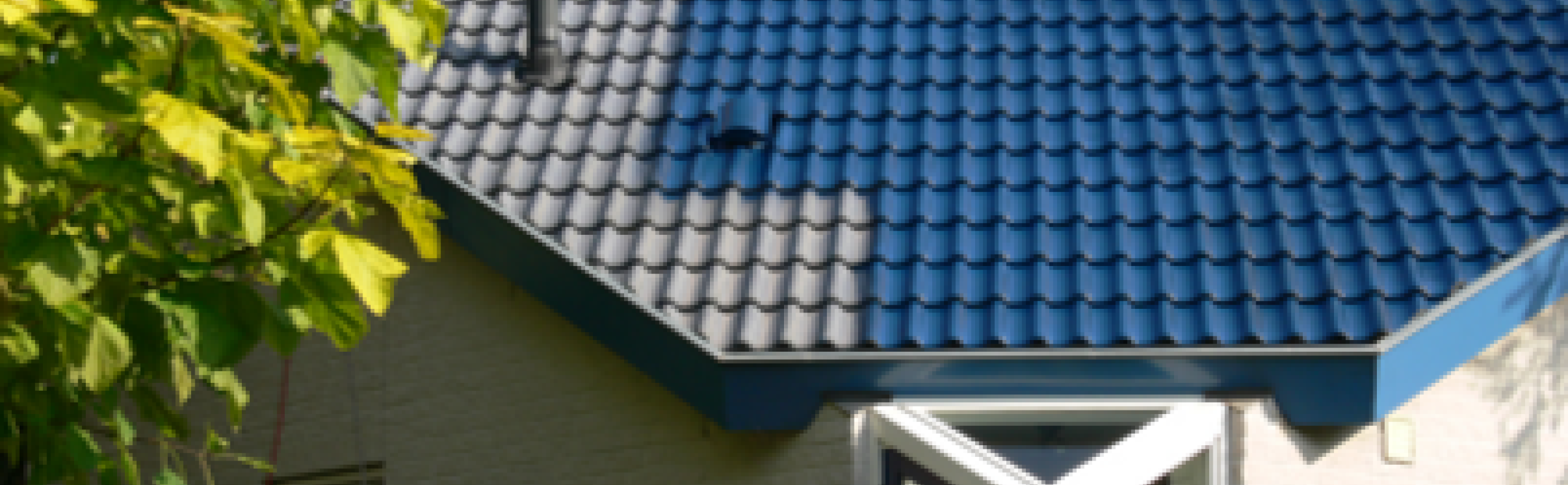 Beurs Eigen Huis Sammy's Dakrenovatie dakstyling dak reiniging coating