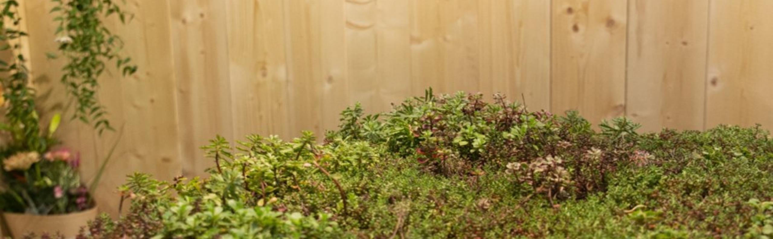 Beurs Eigen Huis bouwen verbouwen tuin groendak duurzaam