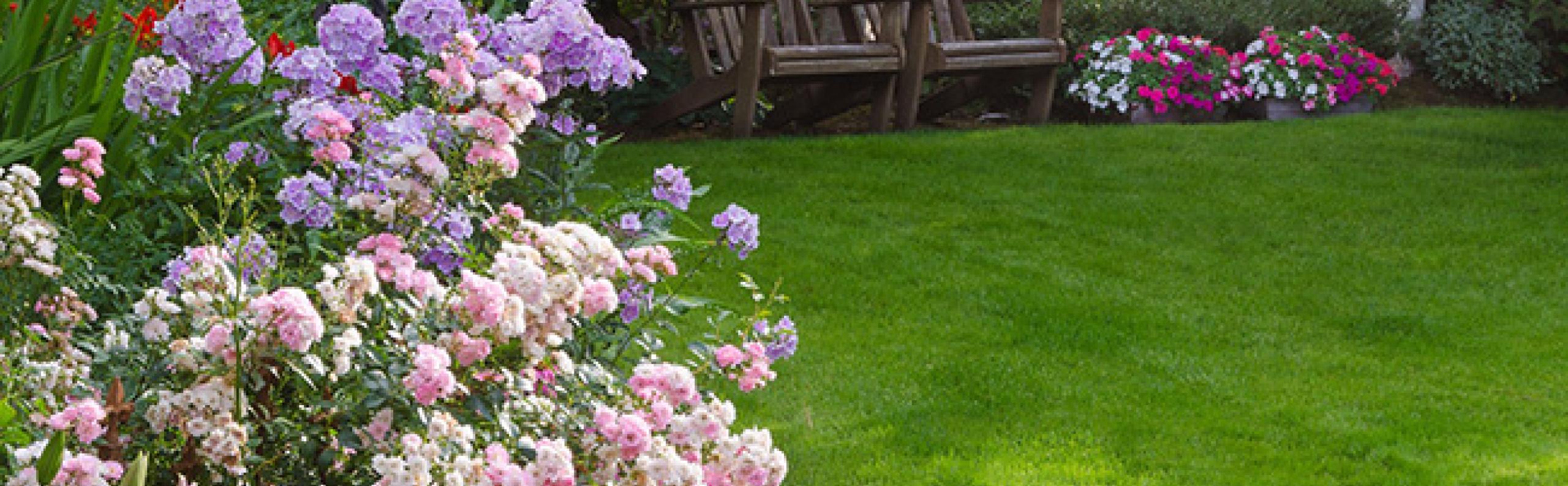 Blog - Met deze tips is het gras nooit meer groener bij de buren