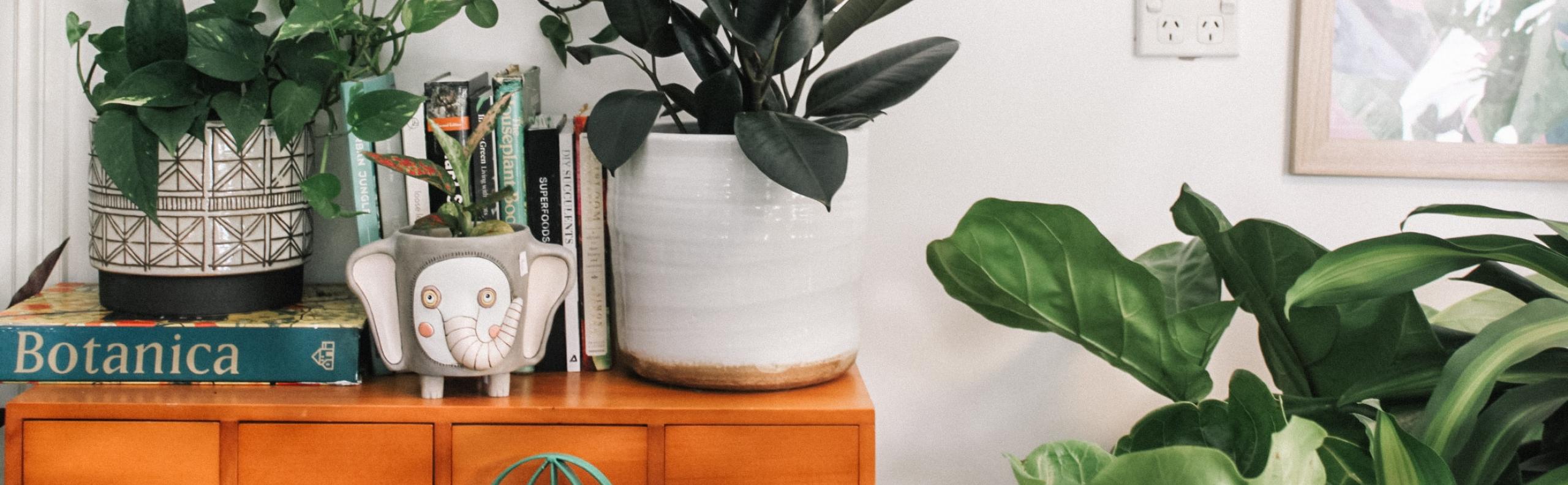 BLOG woontrends Beurs Eigen Huis