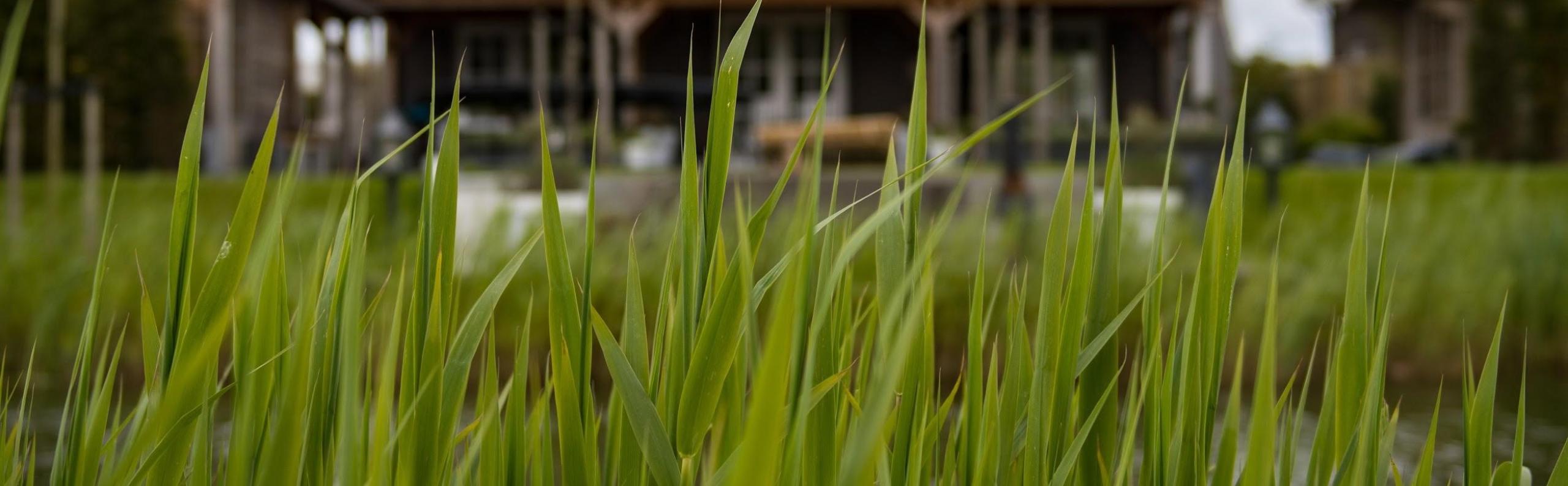 BLOG verhuizen tips Beurs Eigen Huis