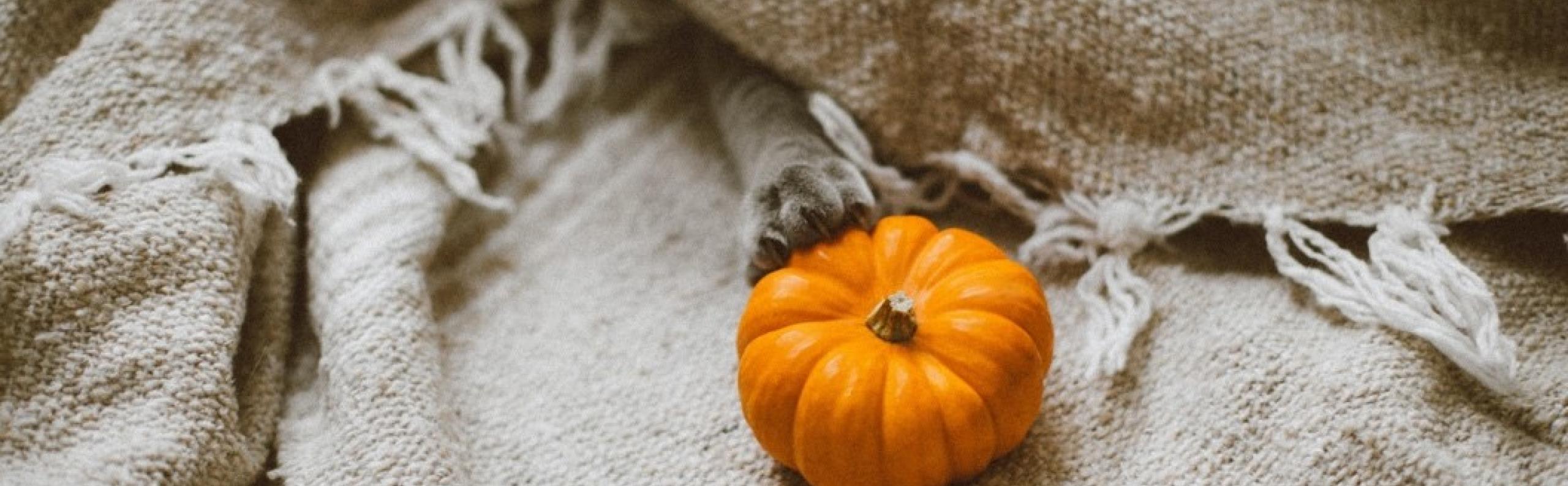 Sfeer droomhuis verlichting Beurs Eigen Huis