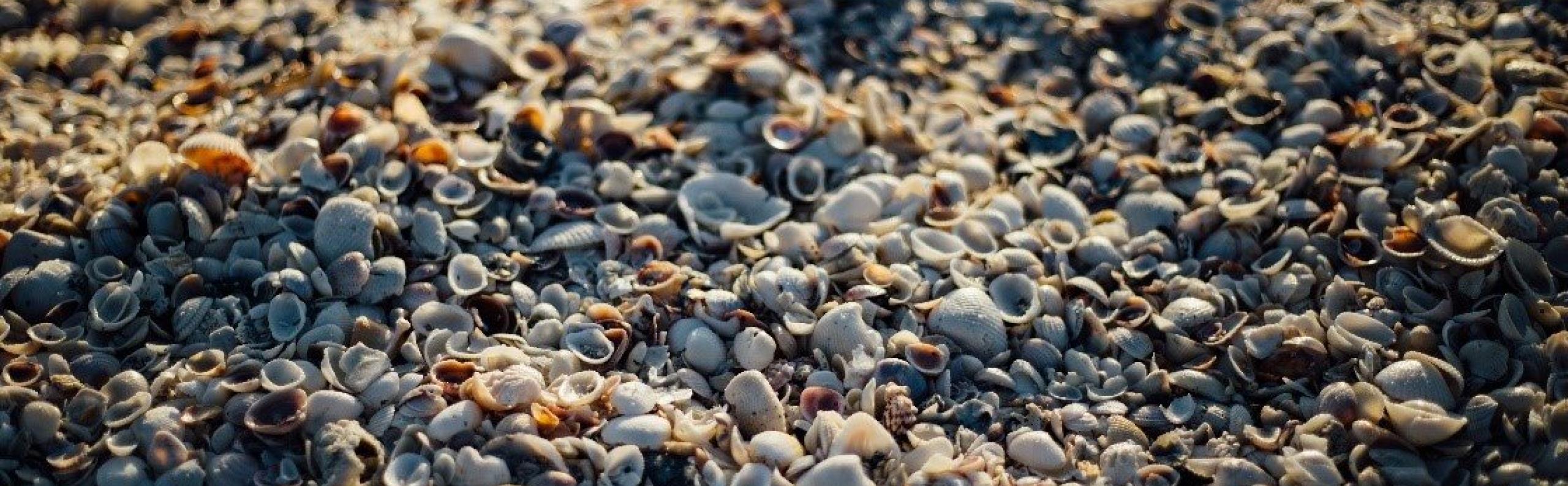 Isolatie kruipruimte verduurzamen duurzaam wonen