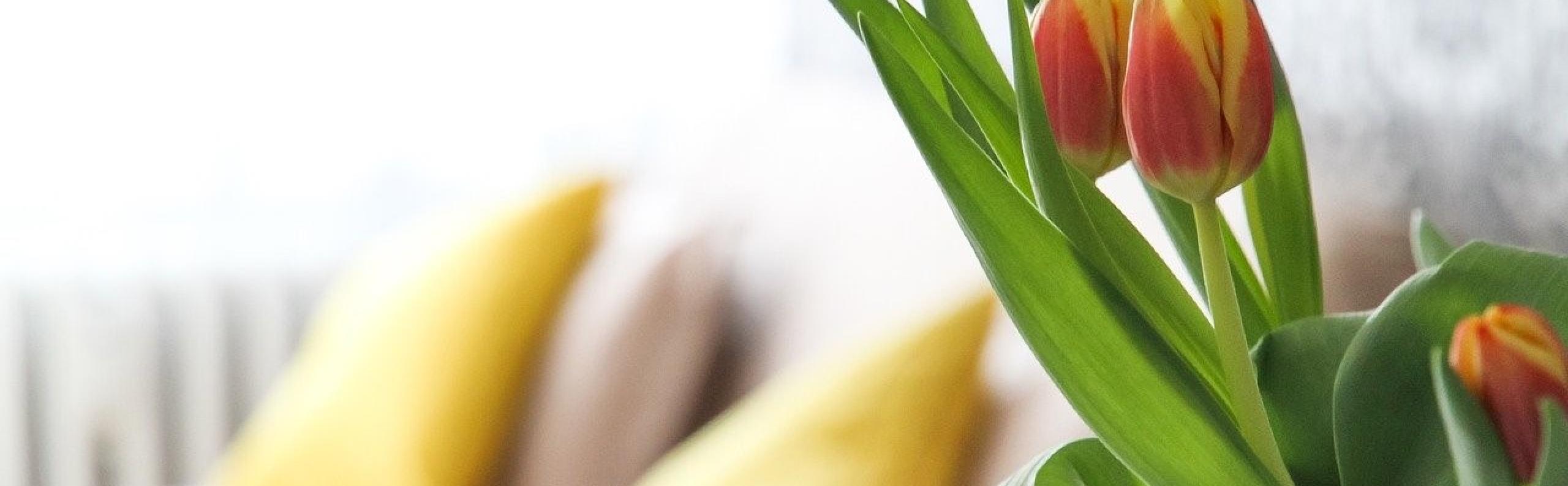 Tuin zomerklaar maken schaduwdoek Realiseer je droomhuis