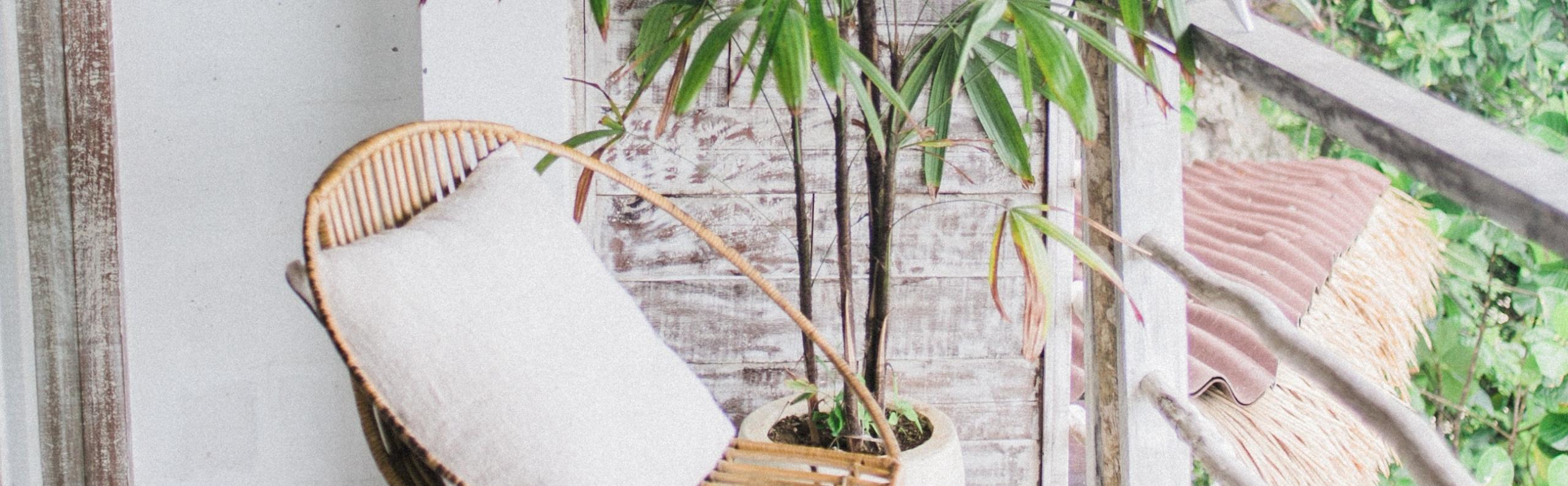 Tropische tuin tips REALISEER JE DROOMTUIN