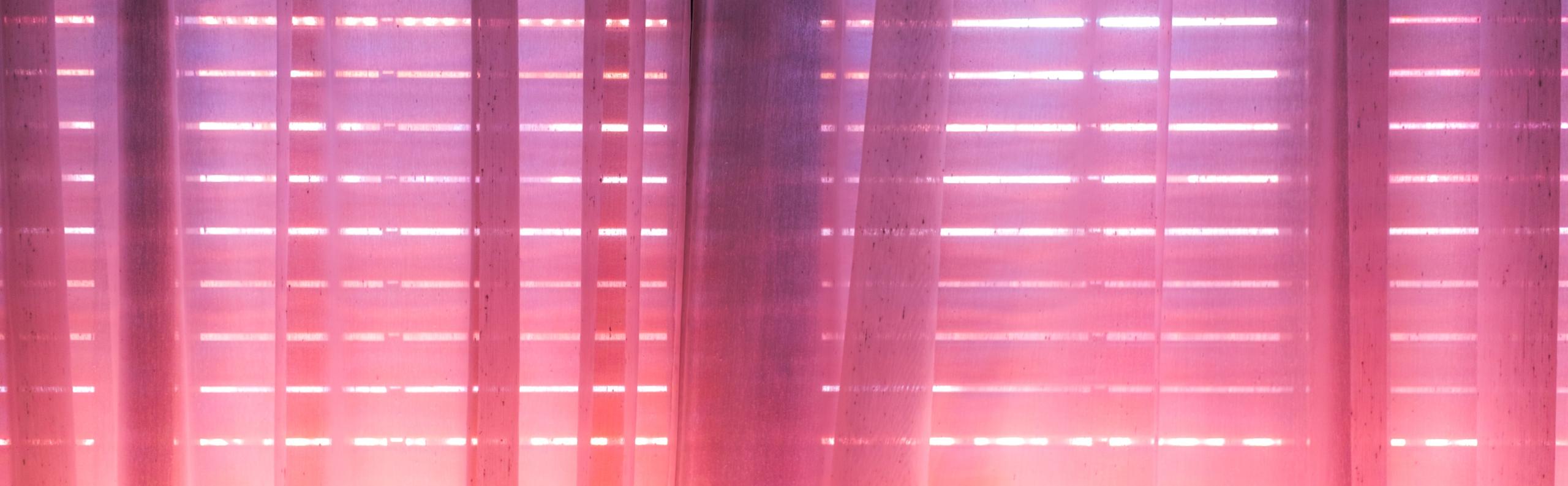 Verlichting Philips REALISEER JE DROOMHUIS