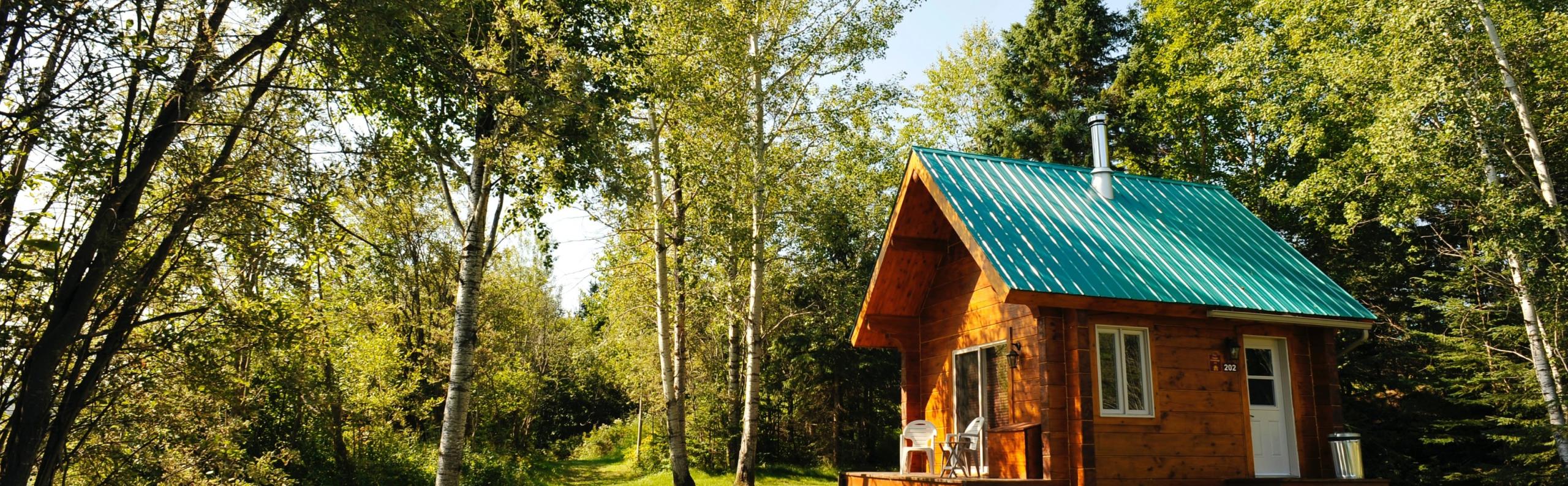 chalet  natuur realiseer je droomhuis