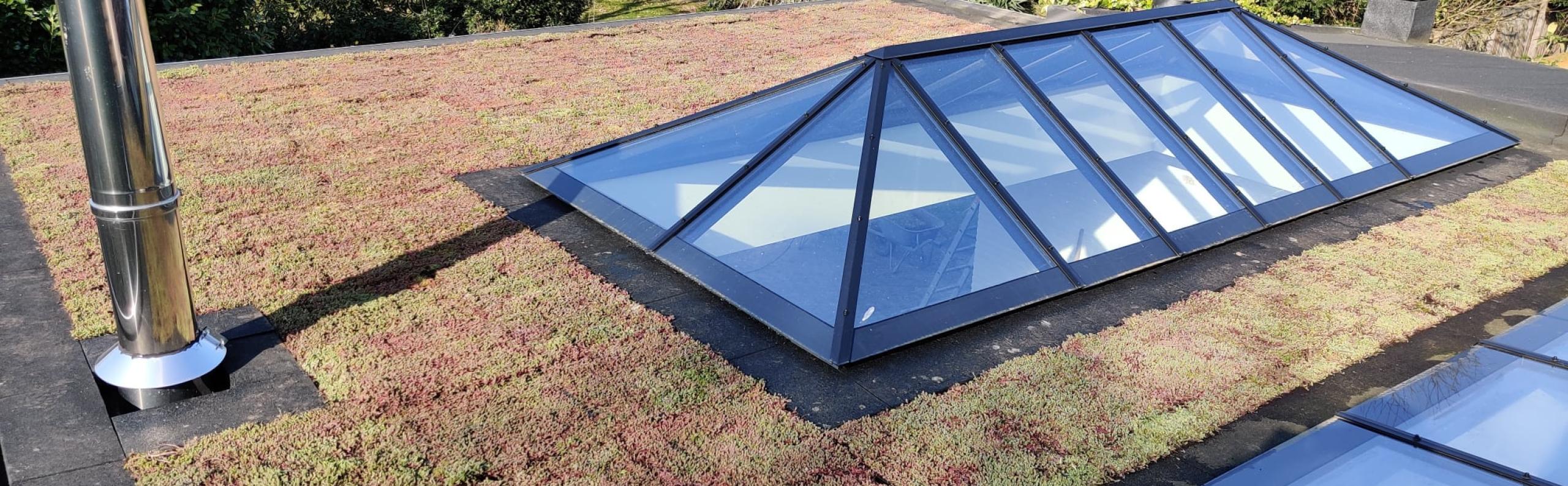 sedum dak dakbedekking beurs eigen huis