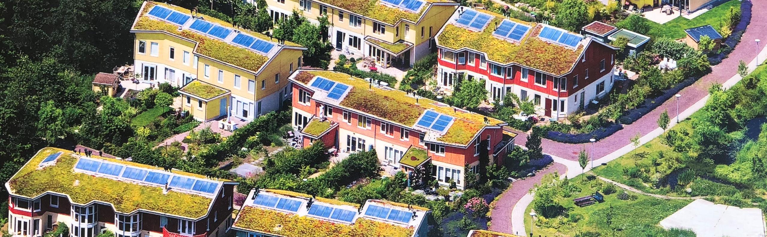 REALISEERJEDOORMHUIS Sedumworld