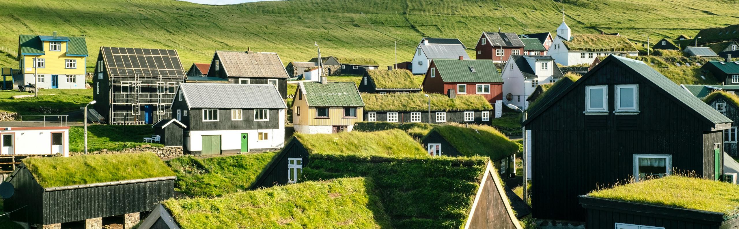 sedumdak groen realiseer je droomhuis