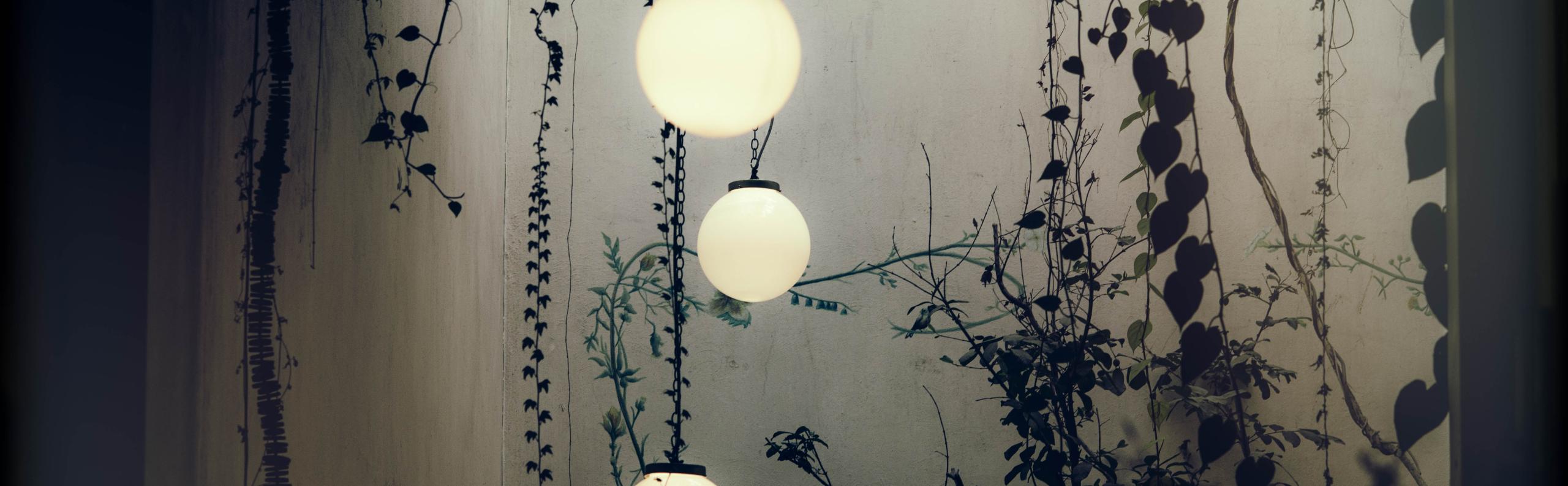 buitenlamp REALISEER JE DROOMHUIS