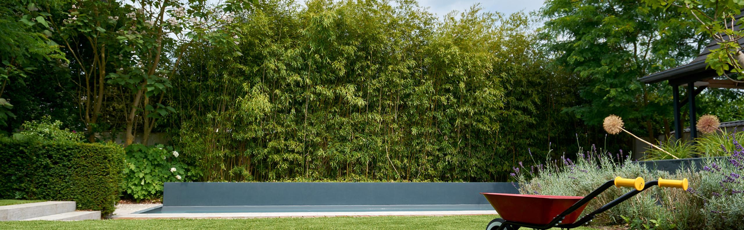 gras beurs eigen huis