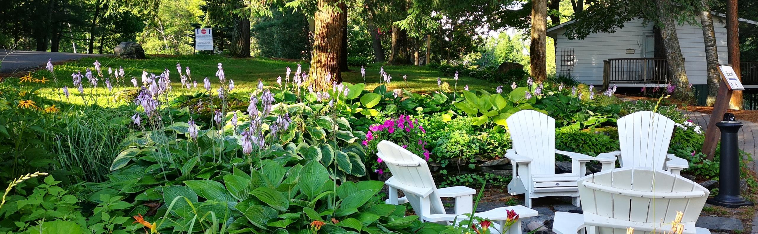 achtertuin gras realiseer je droomhuis