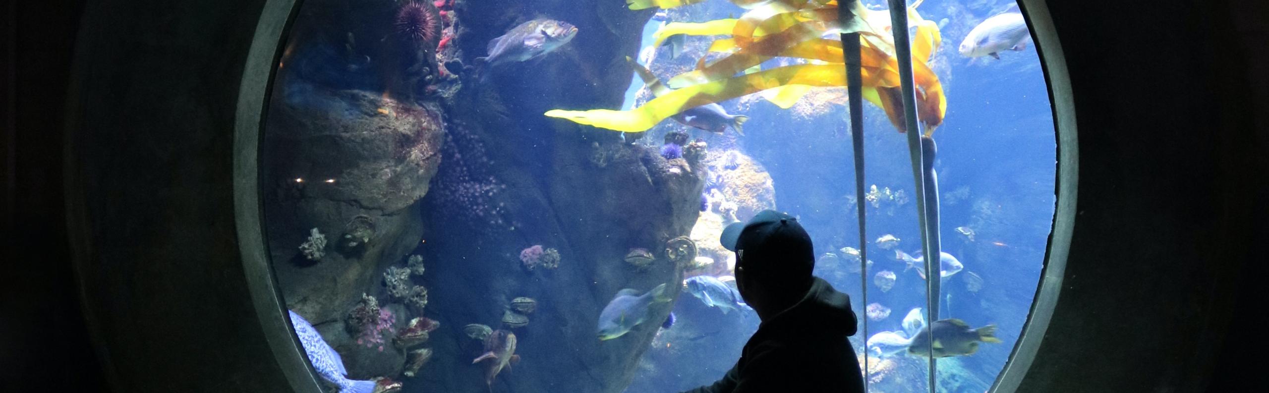 aquarium realiseer je droomhuis
