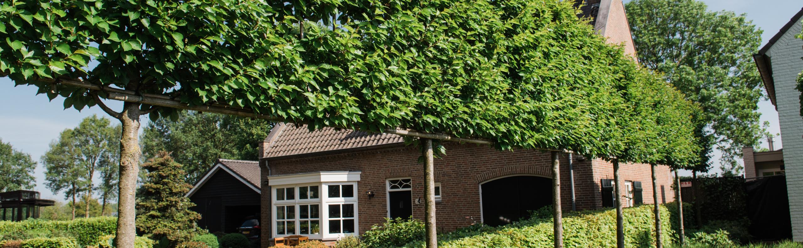 LEIBOOMSPECIALIST Voorjaar 2024 REALISEER JE DROOMHUIS