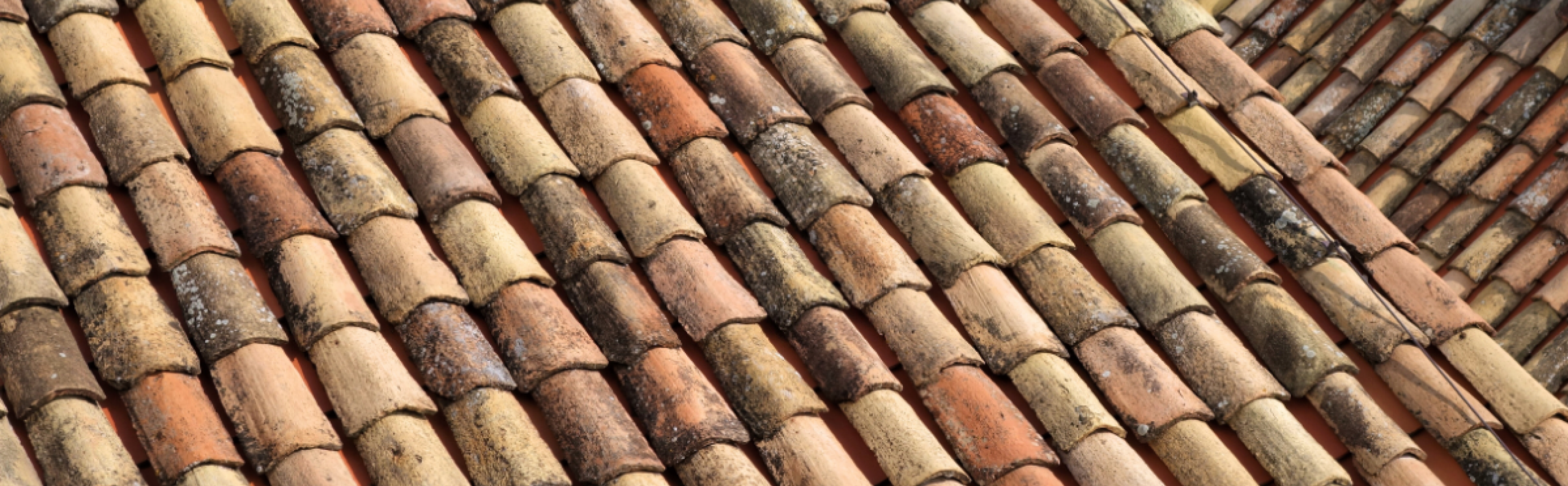 Blog DB Online Marketing - Dakpannen