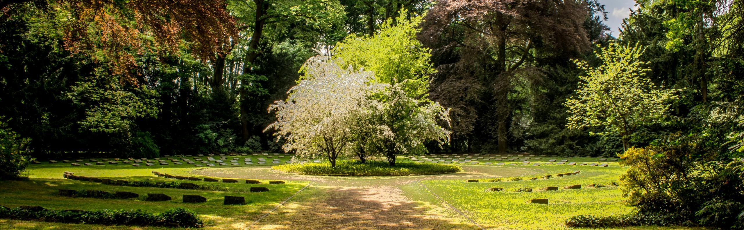 tuin bomen beurs eigen huis