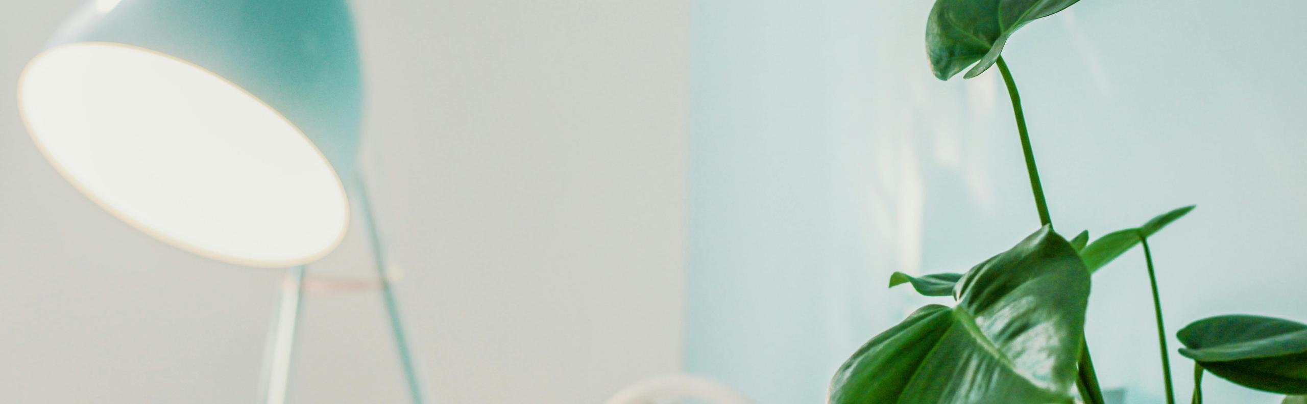 lamp plant beurs eigen huis