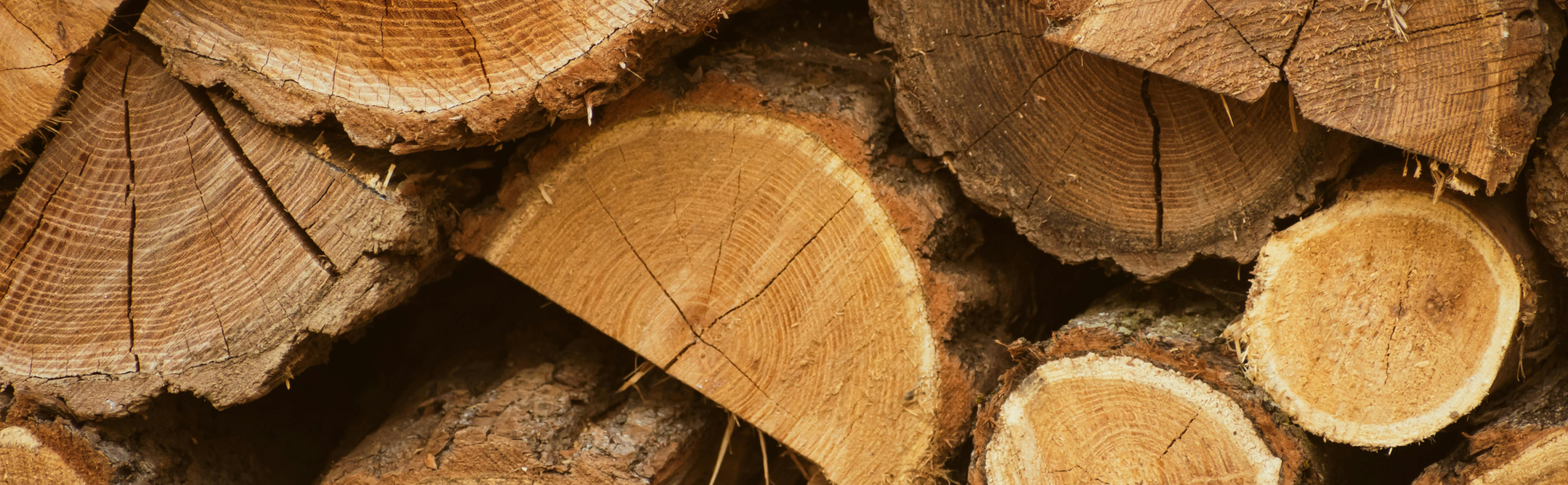 BLOG DB Online Marketing NJ25 - Hout buiten toepassen?