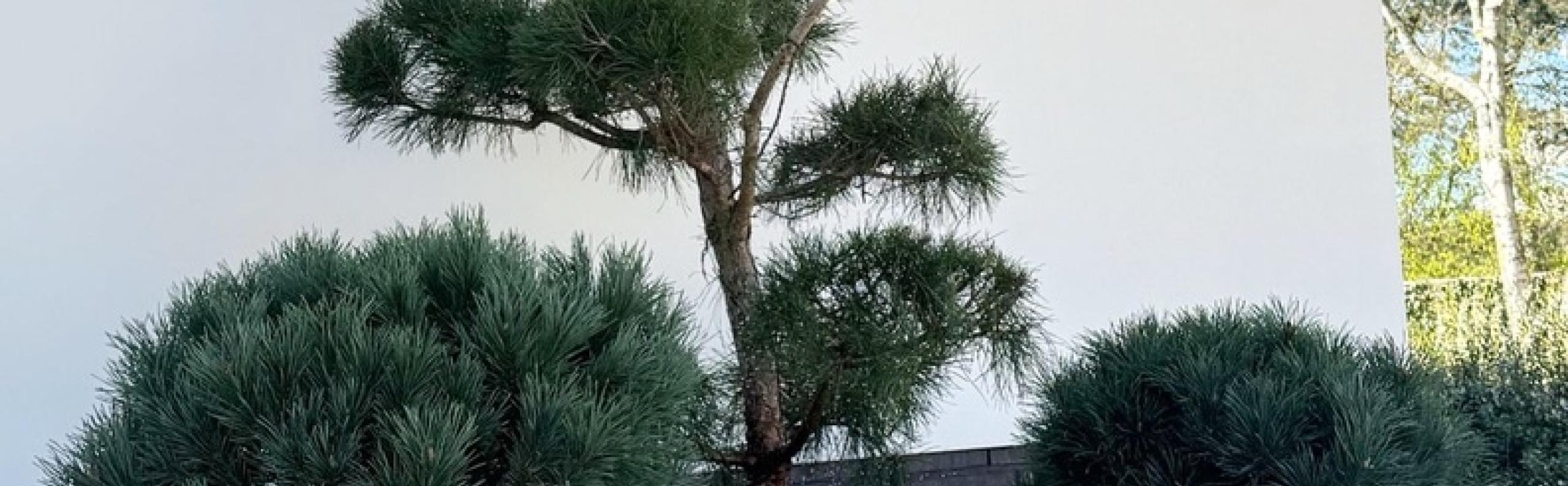 Exposant Palmgarden Voorjaar 2026 BEURS EIGEN HUIS