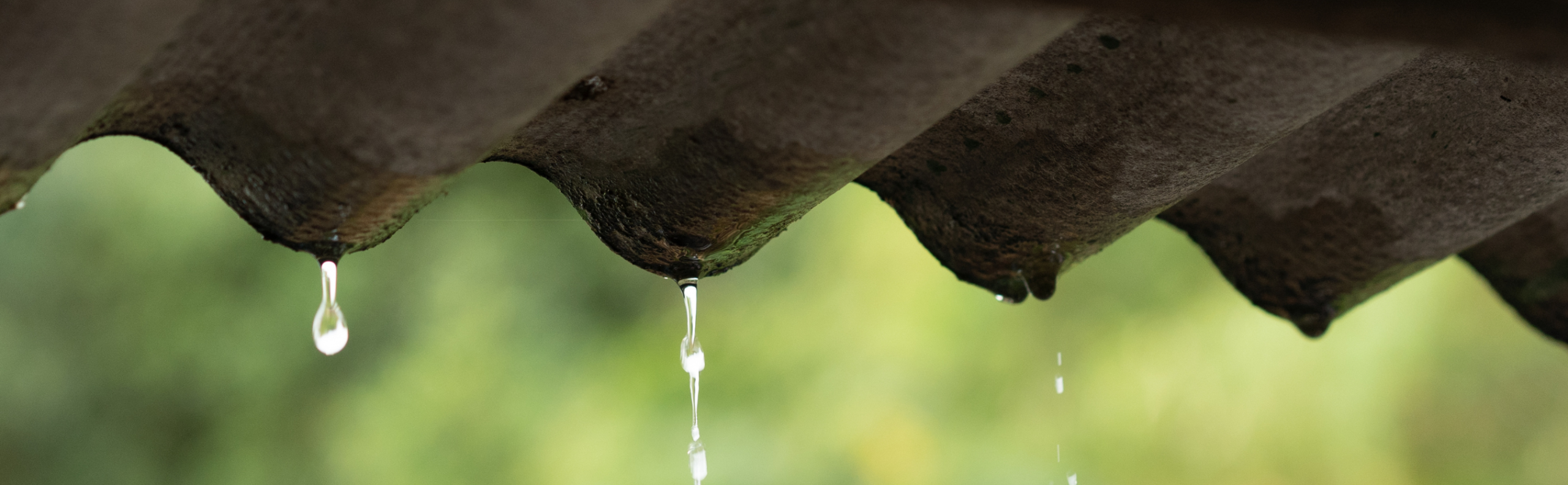 BLOG DB Online Marketing VJ26 - Regenwater infiltreren in de tuin