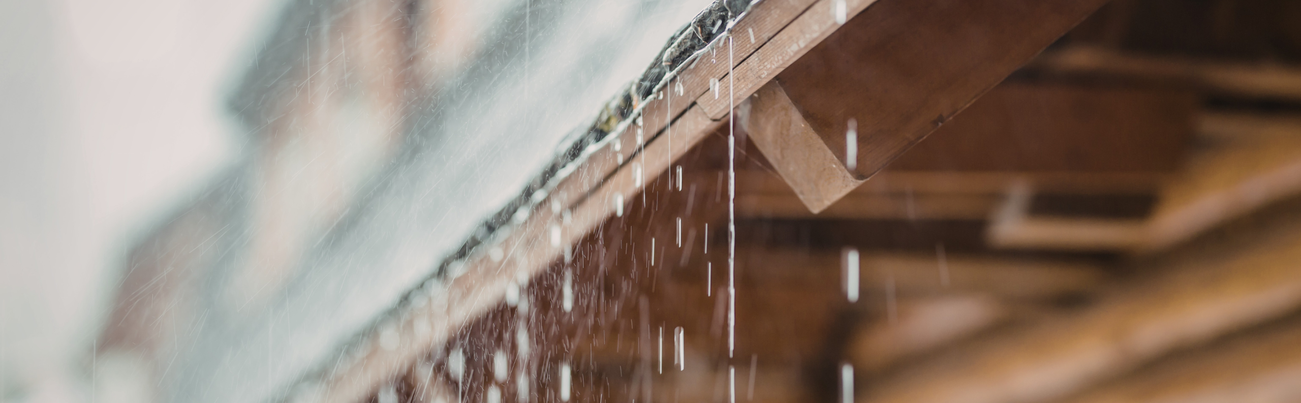 BLOG DB Online Marketing VJ26 - Regenwater rondom jouw woning