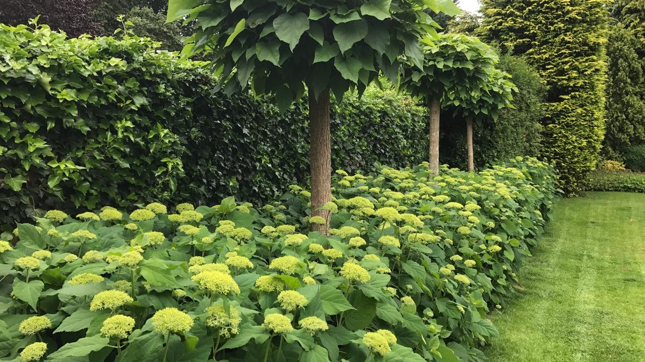 Beurs Eigen Huis Haagplanten.net haagplanten tuin