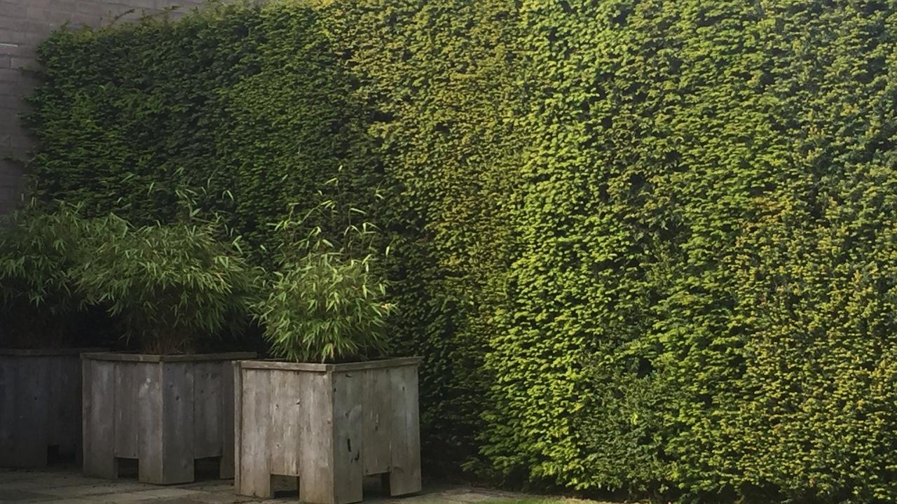 Beurs Eigen Huis Haagplanten.net haagplanten tuin