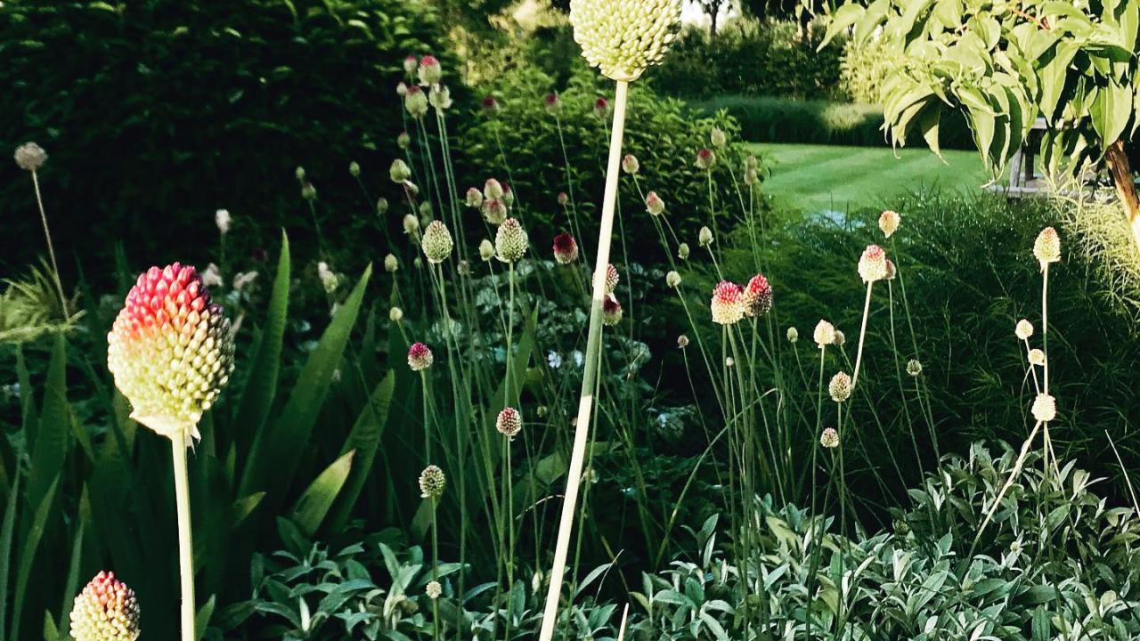 Beurs Eigen Huis Buro Buitenom tuin tuinontwerp tuinarchitect