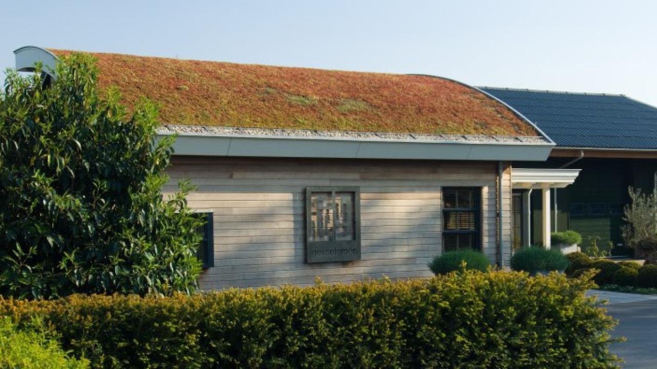 Beurs Eigen Huis Gessel Groen tuin tuininspiratie tuinontwerp hovenier