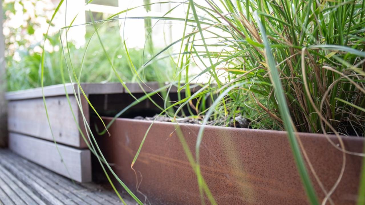Beurs Eigen Huis Gessel Groen tuin tuininspiratie tuinontwerp hovenier