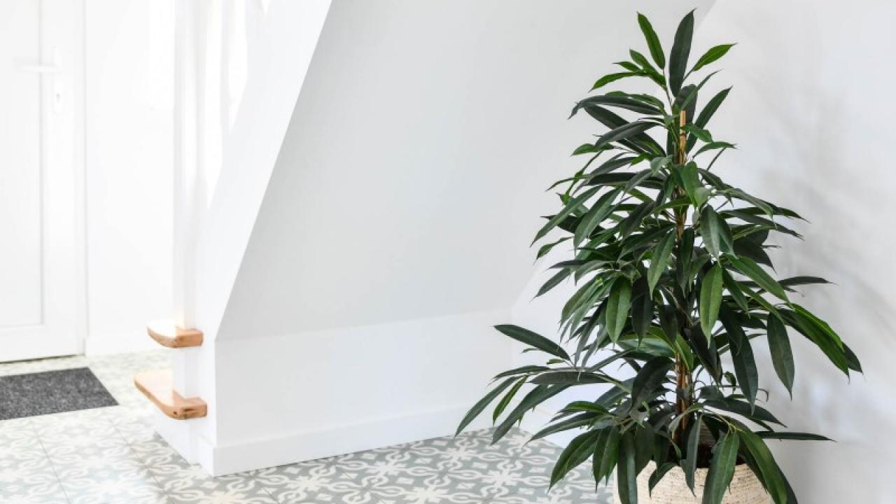 Beurs Eigen Huis Impermo tegels vloer wand natuursteen zelliges