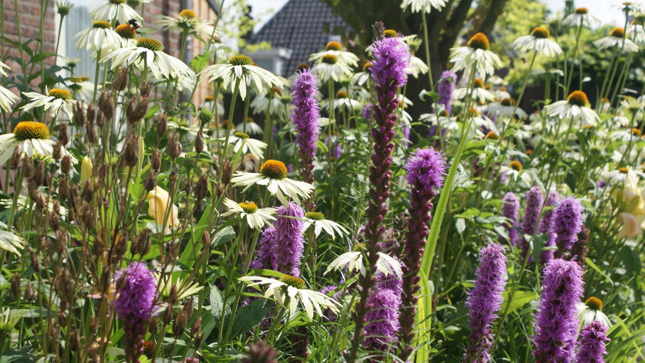 Beurs Eigen Huis -  Reijrink Heijmans Landschapsinrichting