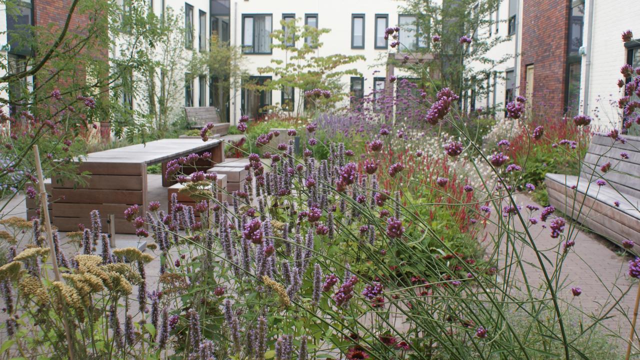 Beurs Eigen Huis -  Reijrink Heijmans Landschapsinrichting